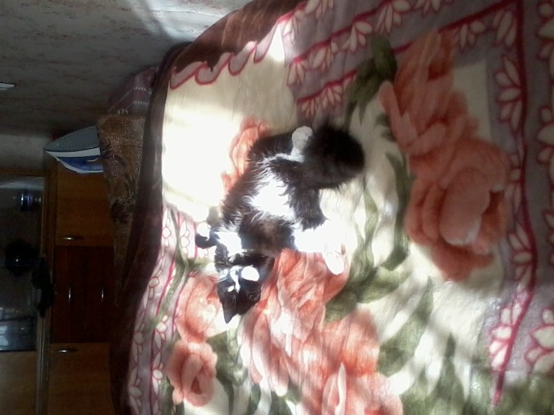 Елена Корноухова | Набережные Челны