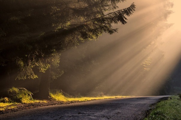 №73, Яна Портная, Fuengirola №73, Яна Портная, Fuengirola