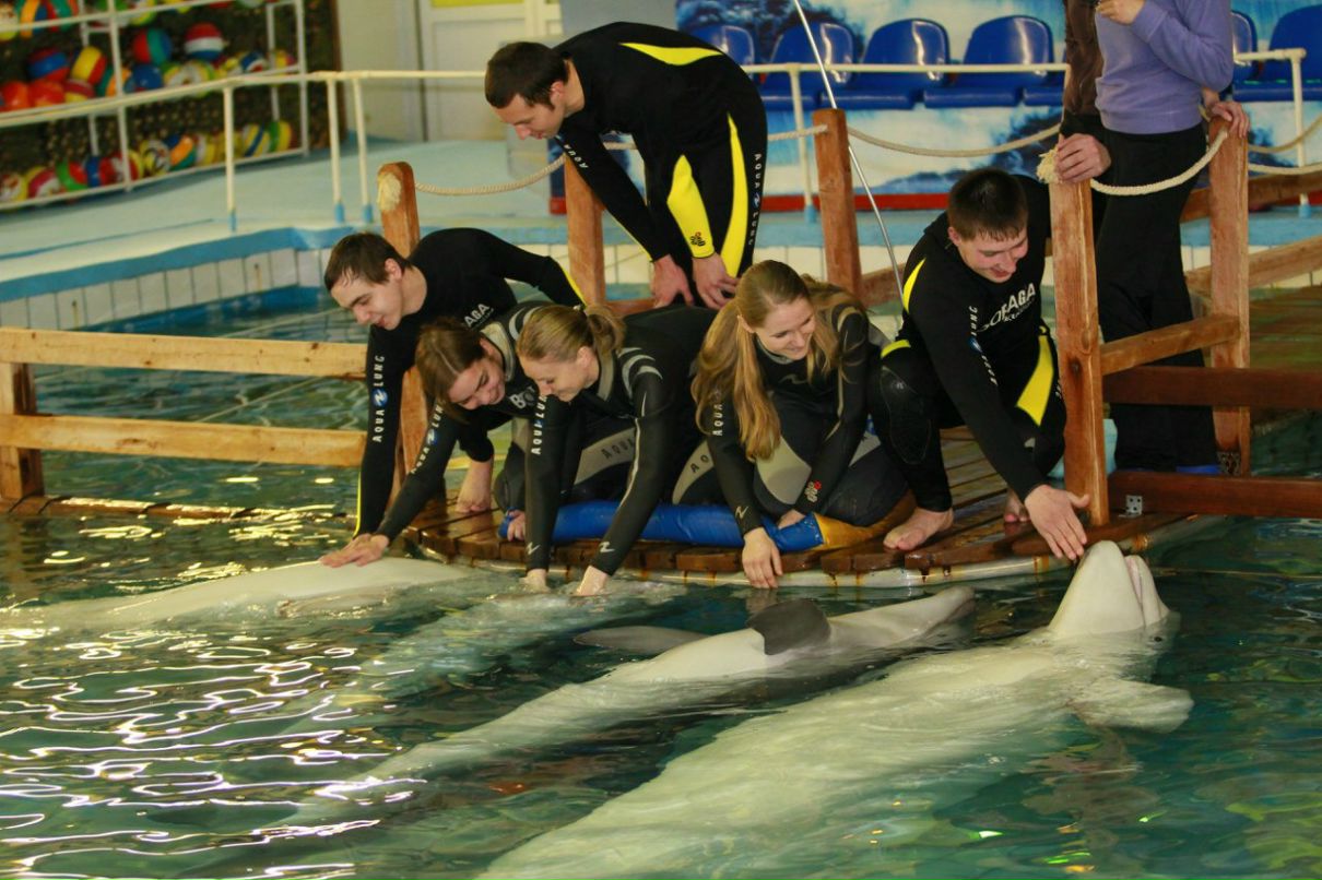 Роман Степанов Андреевич | Ярославль