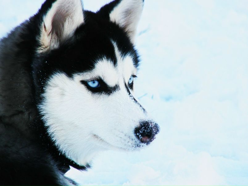 №5, Алсу Шигобеева, 36 лет, Тюмень №5, Алсу Шигобеева, 36 лет, Тюмень