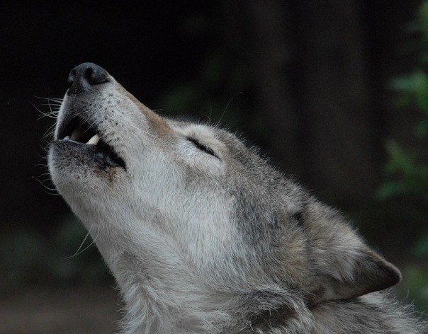 Серёга Писарев | Стерлитамак