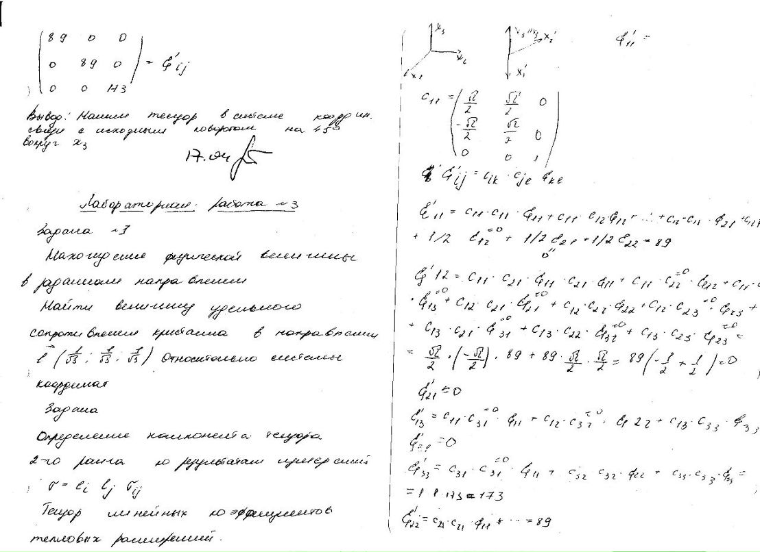 Анастасия Шихова | Казань
