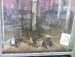 Олег Левко фотография #22