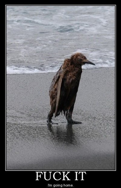 Таня Домолазова | 