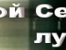 Дана Ильницкая фотография #10 (источник - https://vk.com/id69794938)
