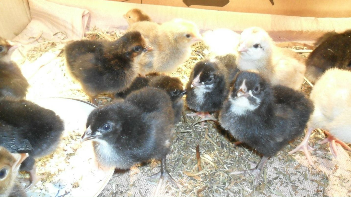 Владимир Фомин | Петрозаводск