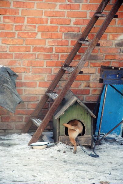 №76, Олена Мартиненко, 33 года, Киев №76, Олена Мартиненко, 33 года, Киев