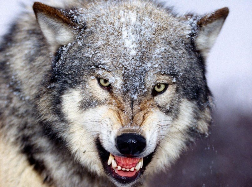 Кирилл Демидов | Тверь