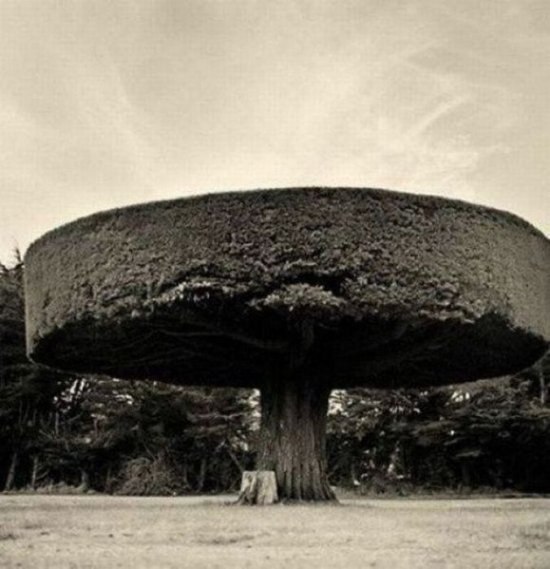 Denis Dragon Dail | Одесса