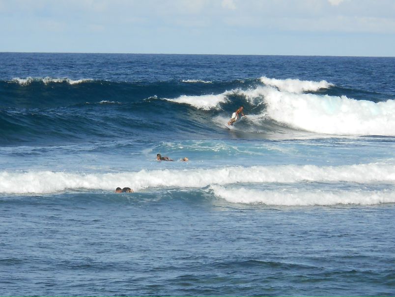 №195, Даша Рид, Saint George's №195, Даша Рид, Saint George's