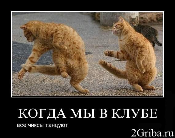 №80, Наталия Пантина, Вологда №80, Наталия Пантина, Вологда