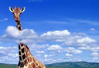 №144, Вадим Муравский, 30 лет, Дайлидки №144, Вадим Муравский, 30 лет, Дайлидки