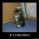 Фотография Яриш Валерии