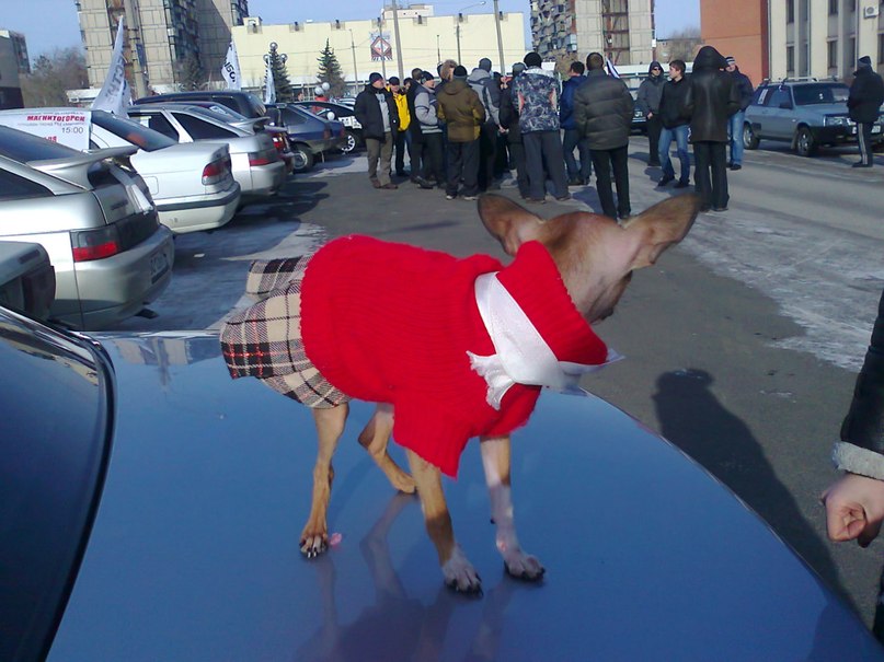 Марина Полищук | Магнитогорск