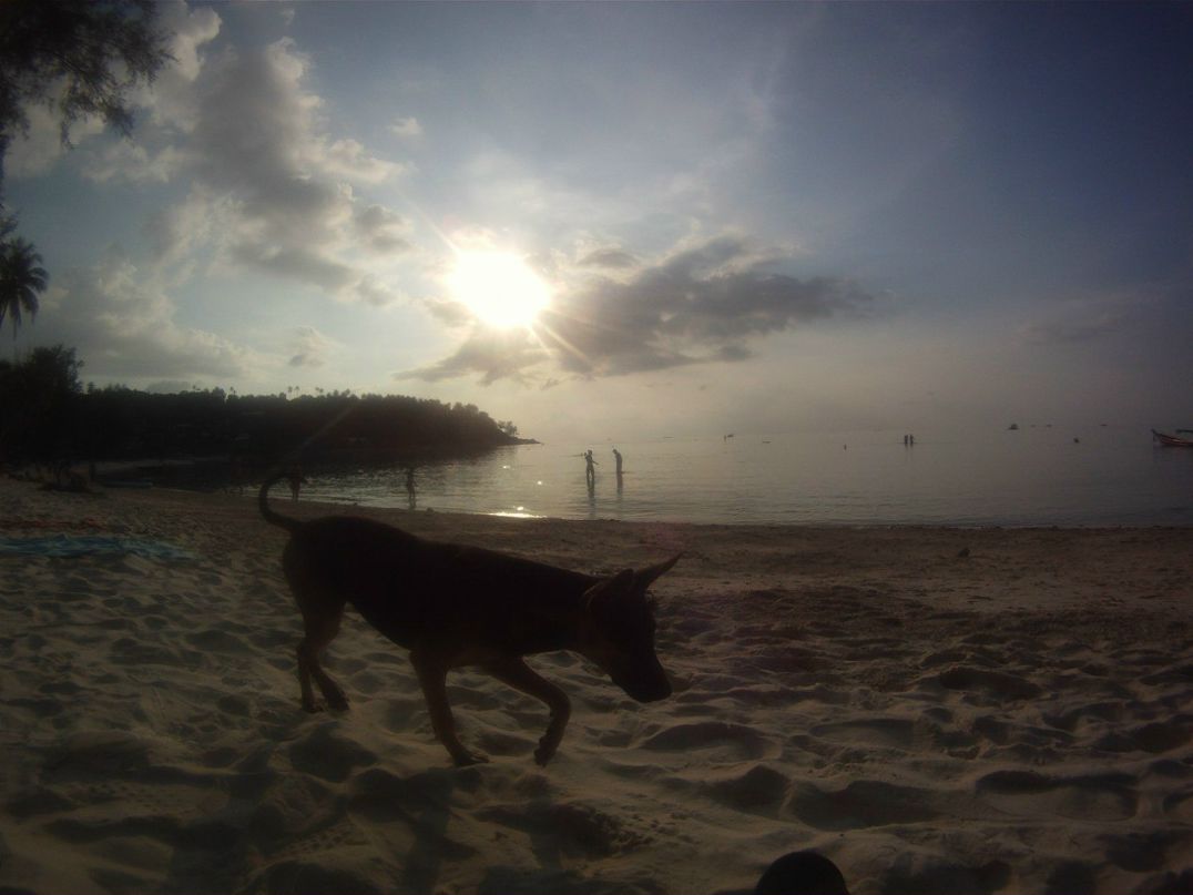 Даниил Бибишев | Санкт-Петербург