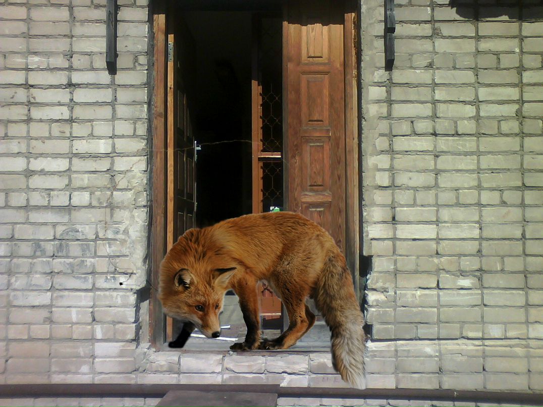 Сергей Иванов <<< ЛиС 2h >>> | Остров