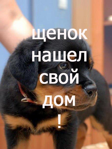 Виктория Семёнова Победа | Москва