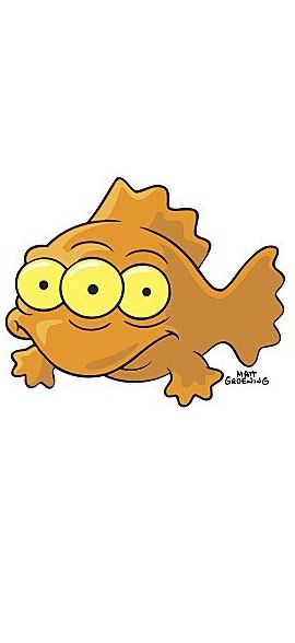 Валентин Мохнатый | Одесса