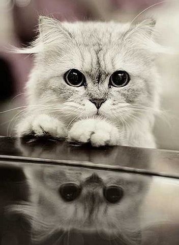 Мухаммад Кулинов | 