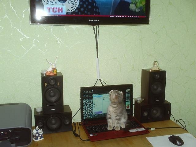 Олег Benkoff | Ровно