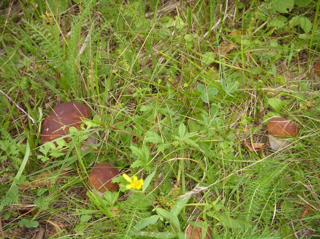 Ирина Панишева | Петрозаводск