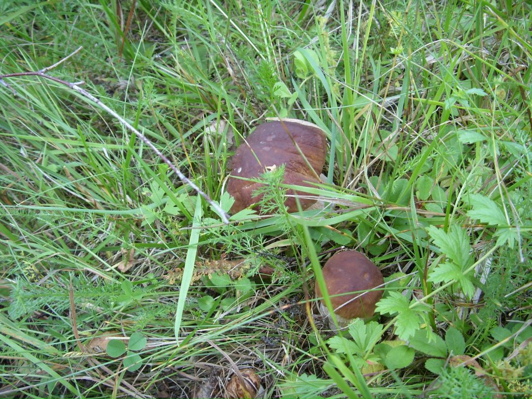 Ирина Панишева | Петрозаводск