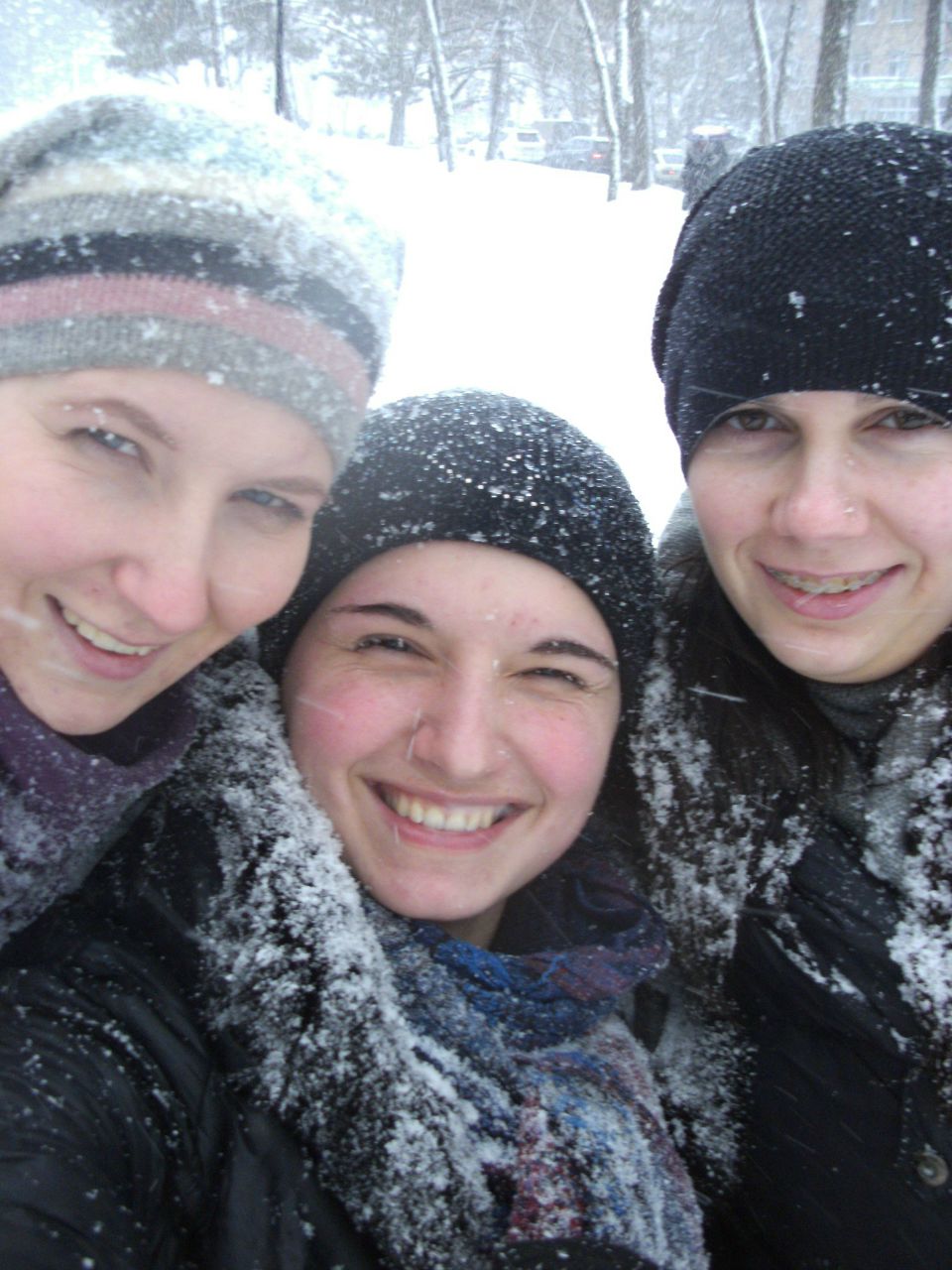 Иришка Берда ^Кошка^ | Луцк