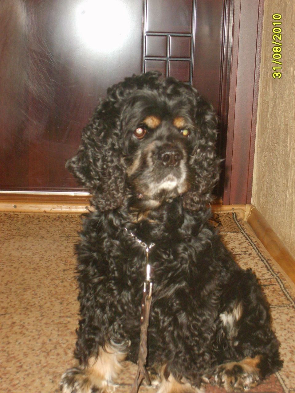 Татьяна Бузыцкова | Тольятти