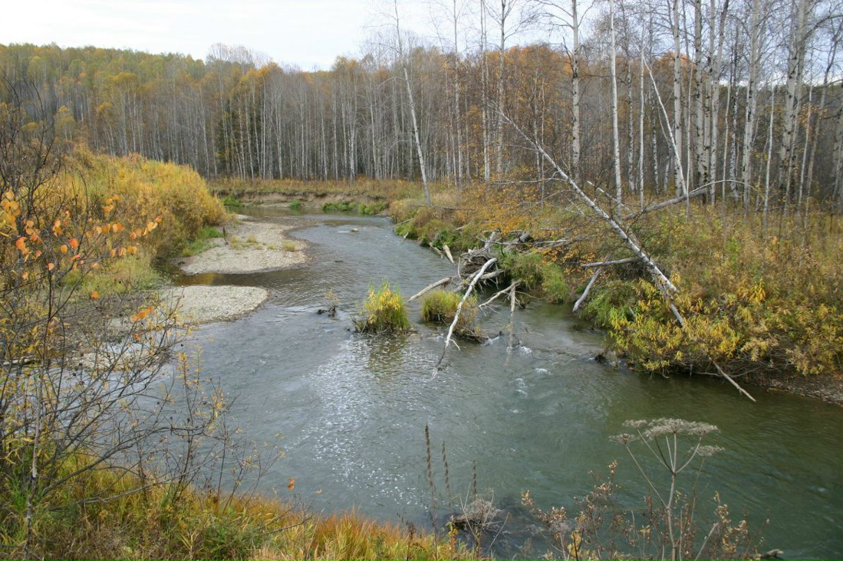 Константин Горобец | Новосибирск