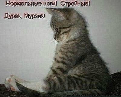 Анна Ефимова | 