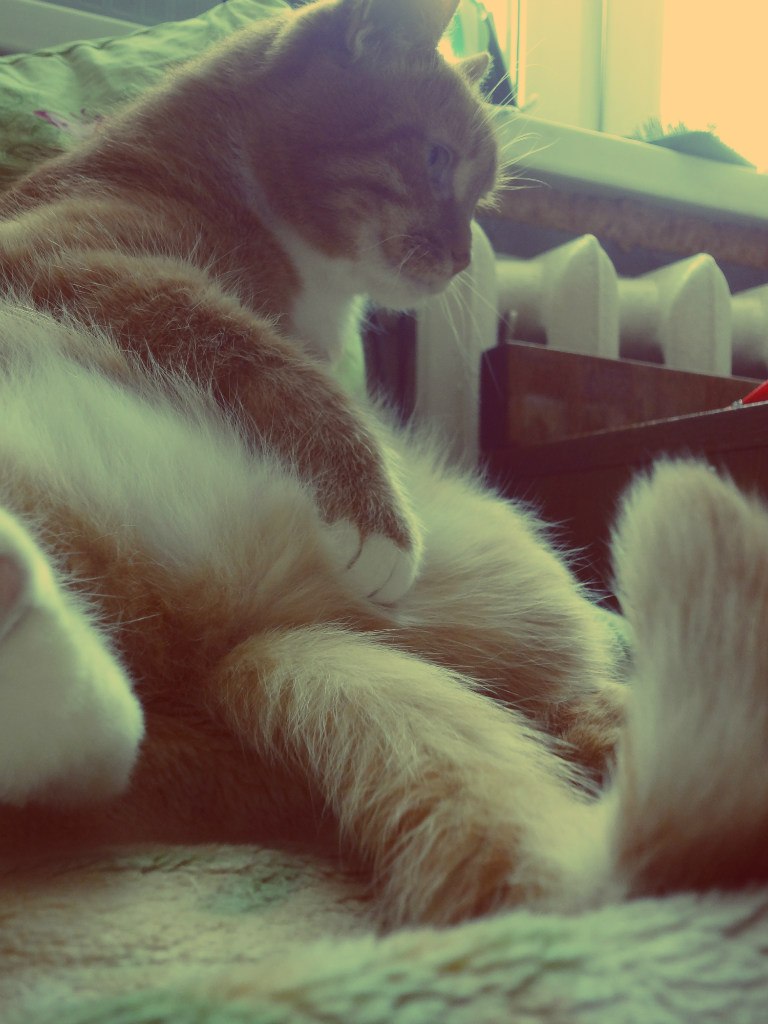 Katty Cruel † | Москва