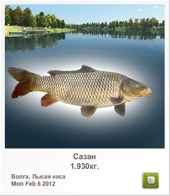 Александр Марченко | Витебск