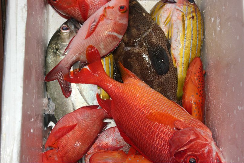 Татьяна Красельникова | Москва