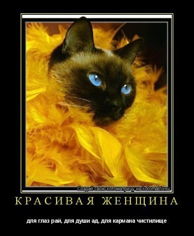 Екатерина Лукина | Москва