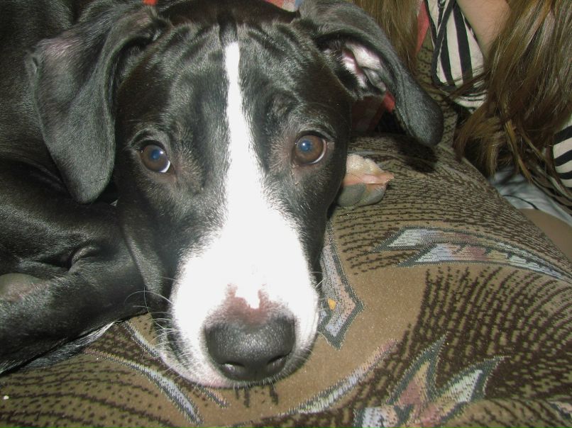 Лена Марченко ♥М@СЯ=)✿ ✿ ✿ | Киев