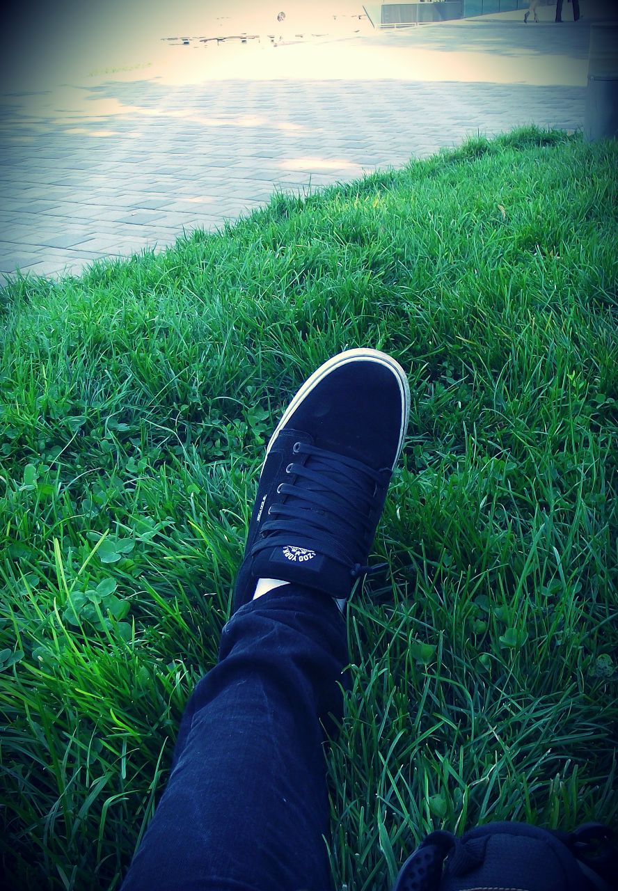 Сергей Шаповалов | Днепр (Днепропетровск)