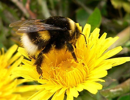 Максим Максименко | Киев