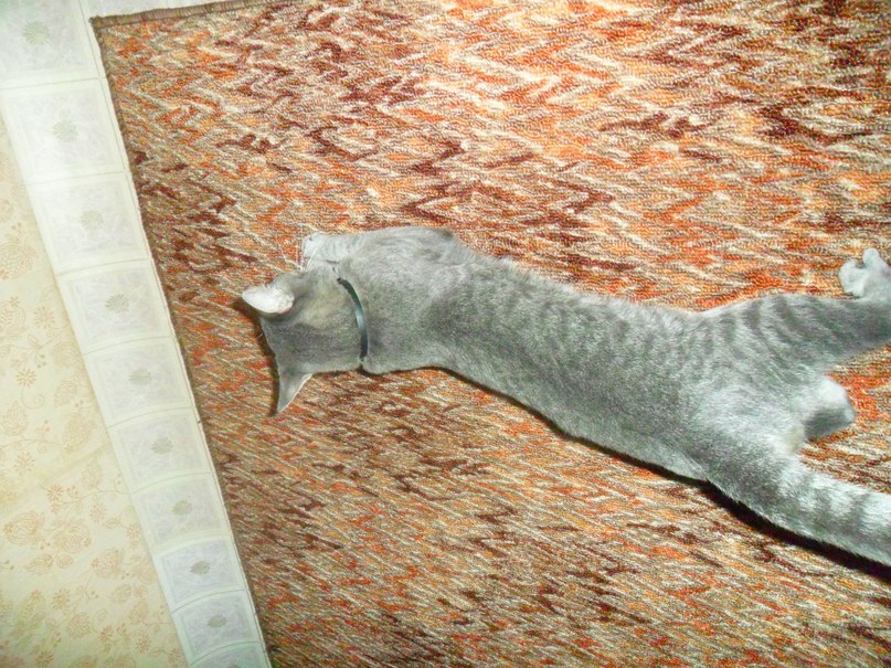 Наталья Лукьянова | Самара