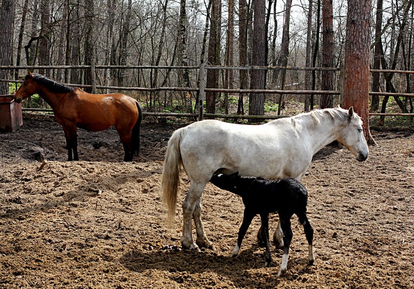 Юлия Каменева | Пенза