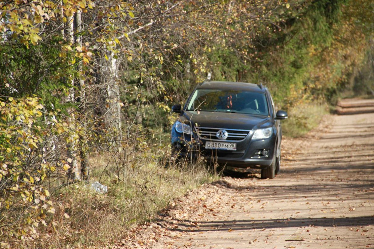 Татьяна Гневашева | Санкт-Петербург