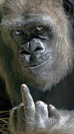 №36, Рома Талипов, 27 лет, Екатеринбург №36, Рома Талипов, 27 лет, Екатеринбург