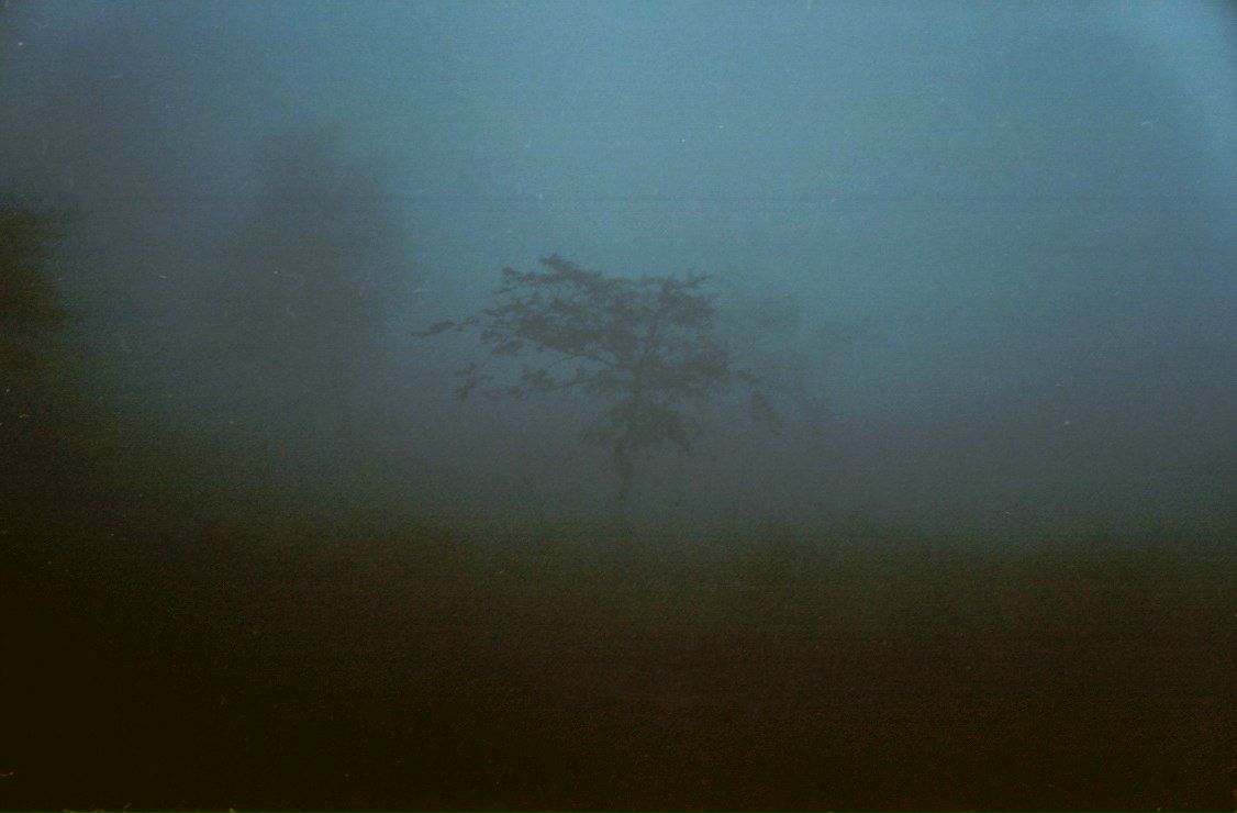 Ирина Пешкова | Пермь