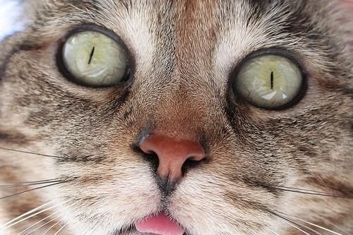 №46, Рома Сирота, 17.02.1987, Киев №46, Рома Сирота, 17.02.1987, Киев