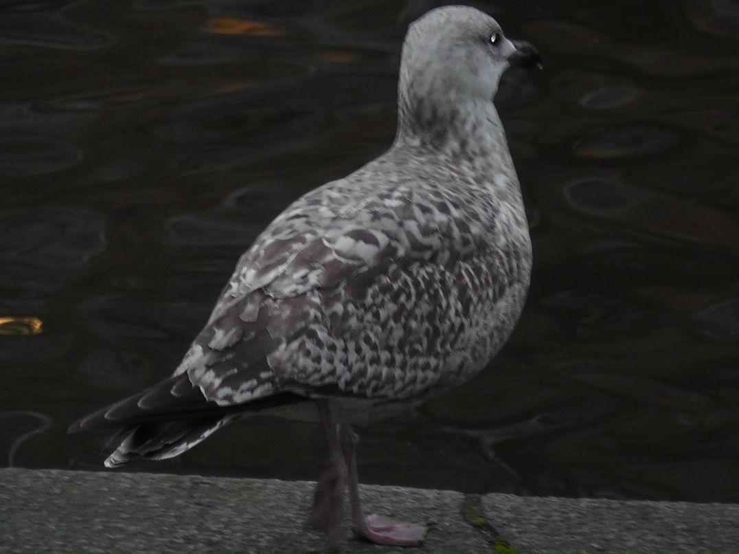 Михаил Богданов МБ | Москва