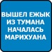 Адель Адикаев фотография #41