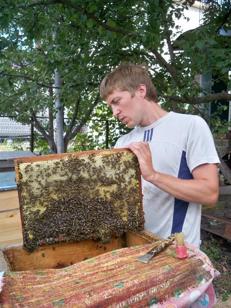 Дмитрий Кармазин | Липецк