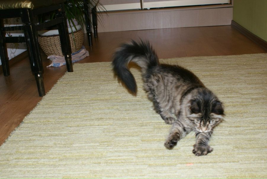 №91, Антон Мясоутов, Батайск №91, Антон Мясоутов, Батайск