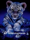 №32 Антонина Акатьева