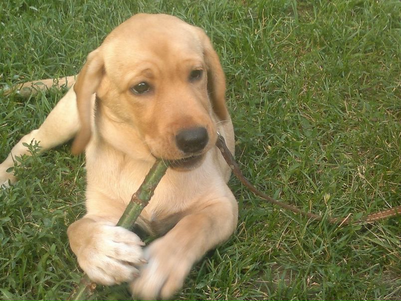 №48, Александр Феоктистов, 38 лет, Москва №48, Александр Феоктистов, 38 лет, Москва