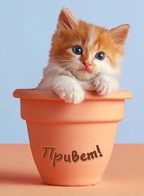 №64, Татьяна Кривцова, Москва №64, Татьяна Кривцова, Москва